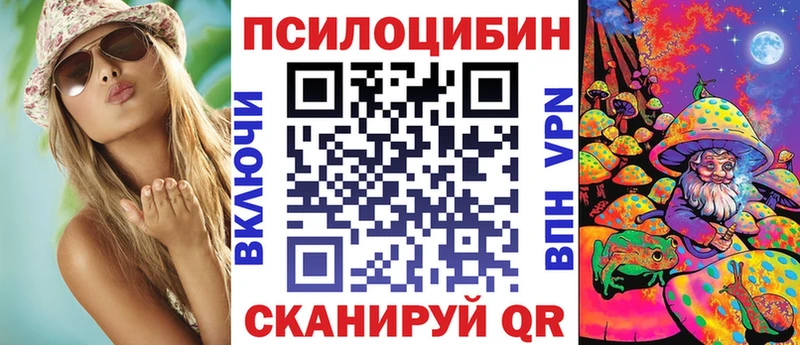 ссылка на мегу tor  Владикавказ  Псилоцибиновые грибы ЛСД  цены наркотик 